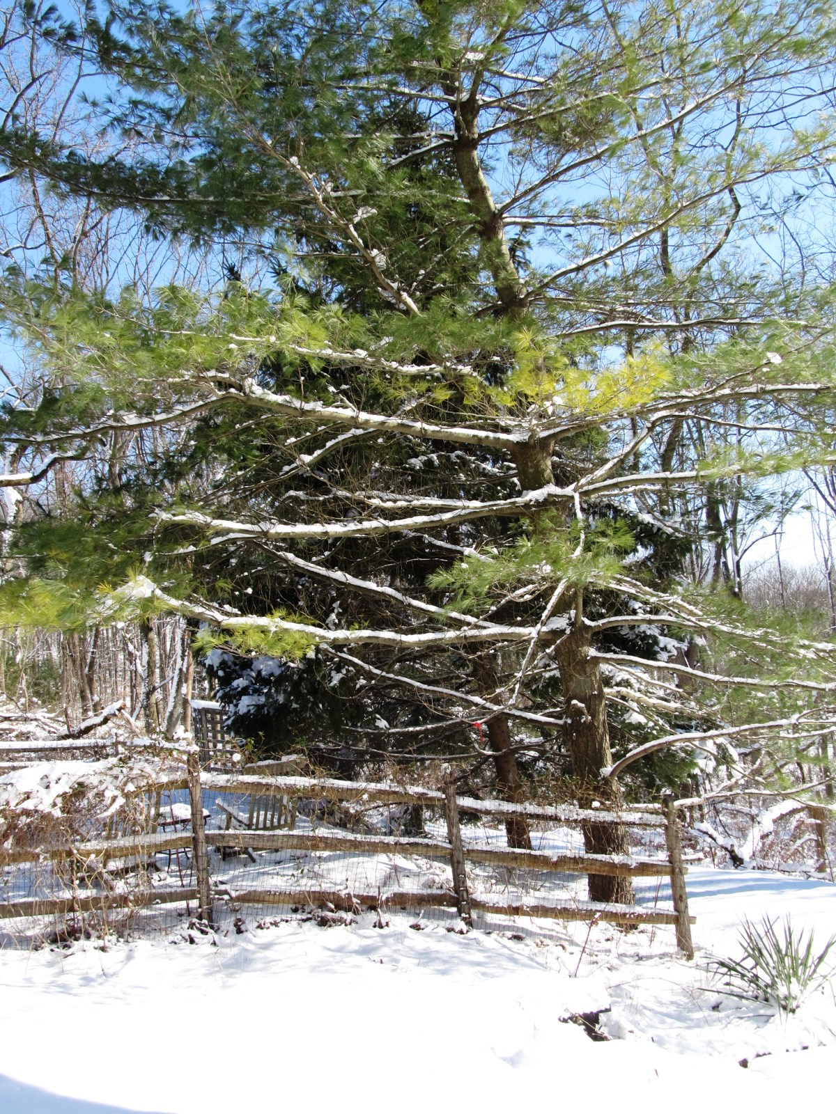 ???????????????????????????????