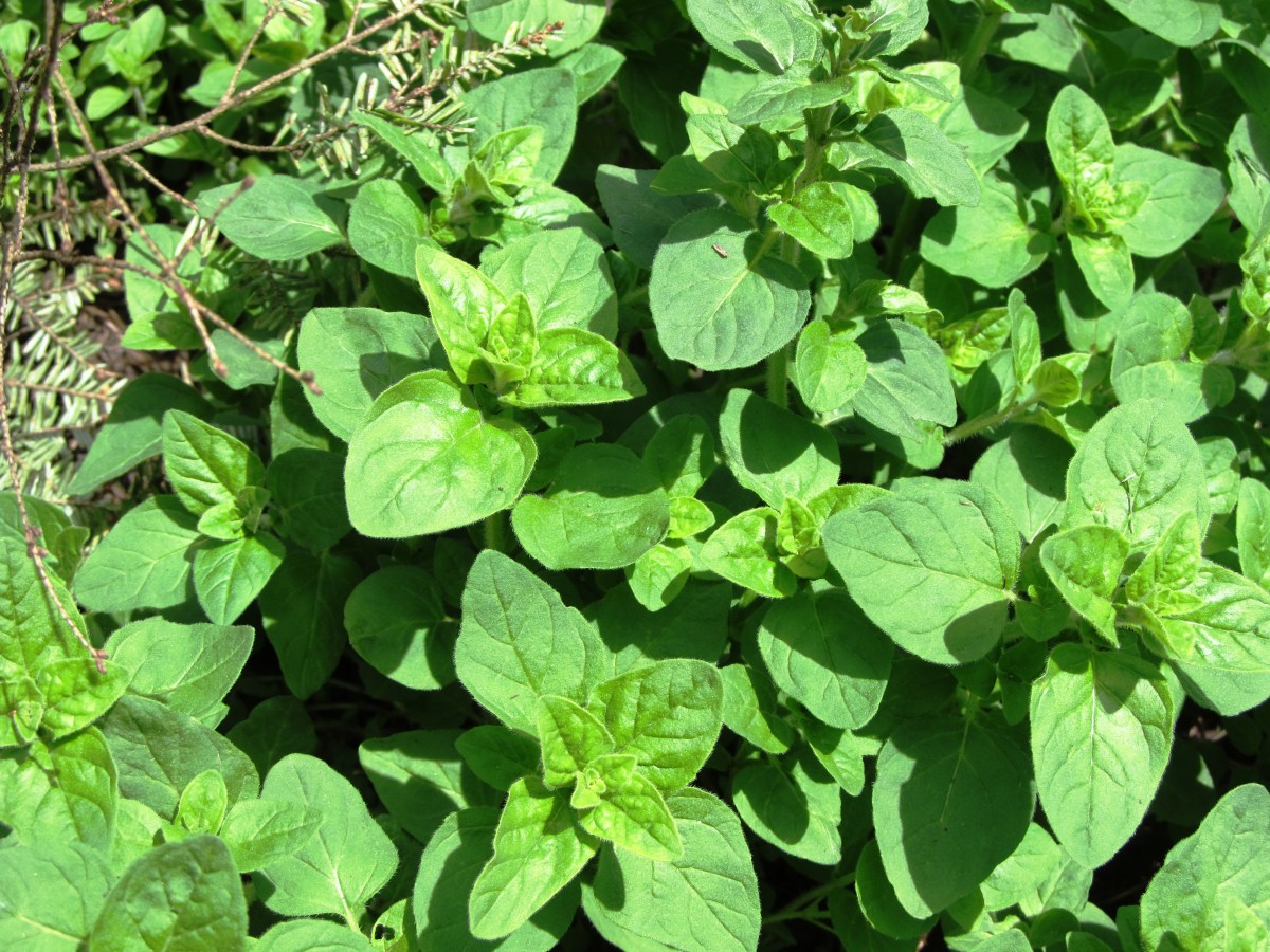 ???????????????????????????????