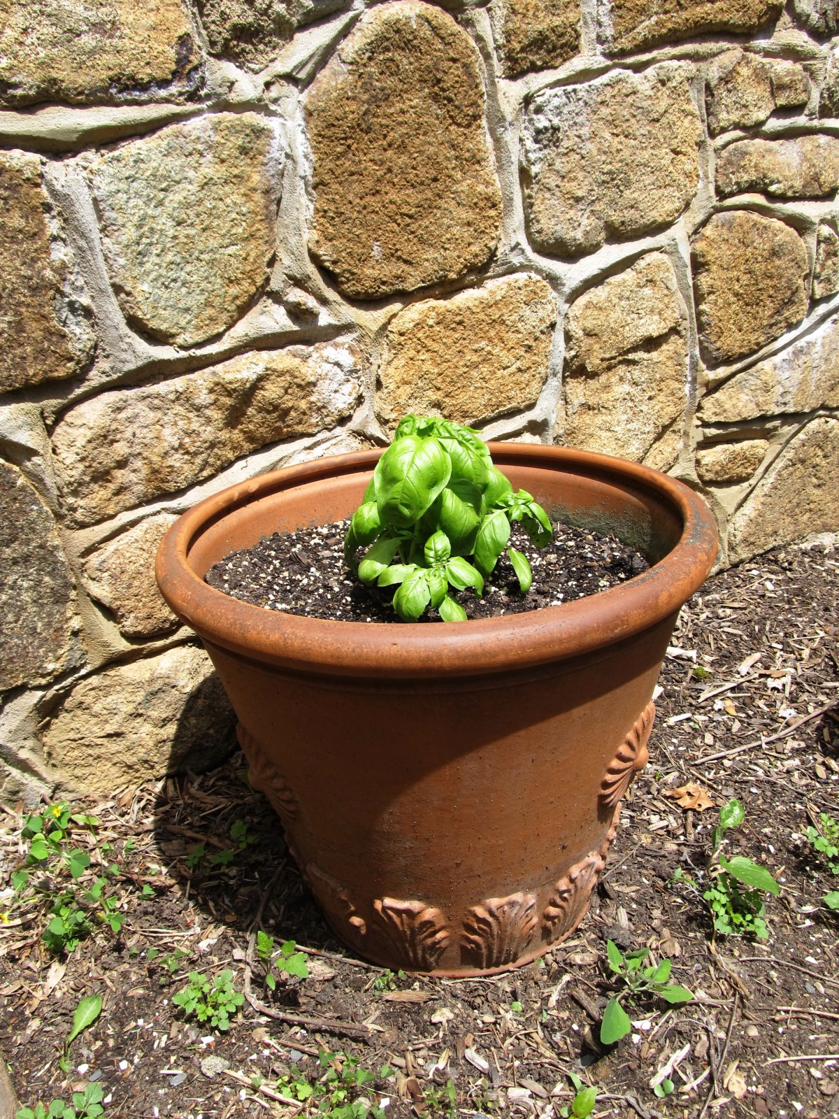 ???????????????????????????????