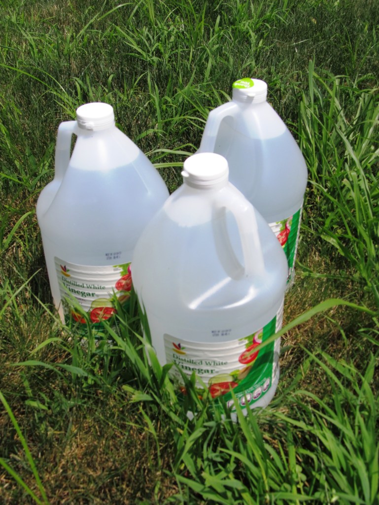 Distilled white vinegar isn't sexy, hip or new. But it may just be the most sustainable thing in your home. 