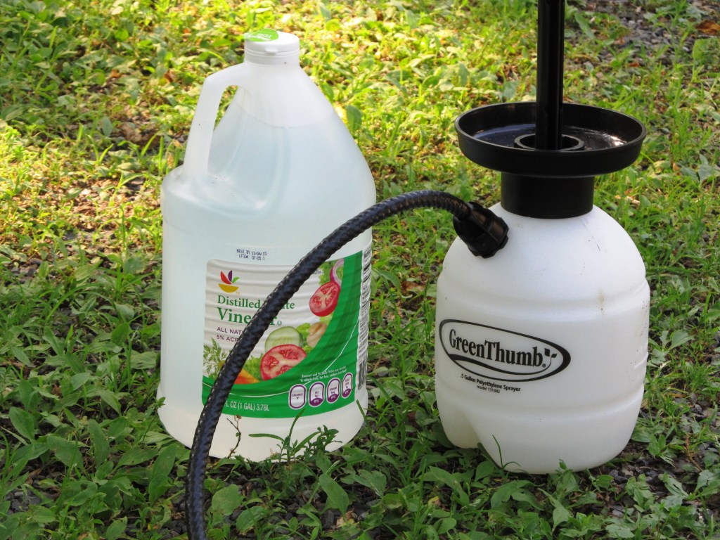 ???????????????????????????????